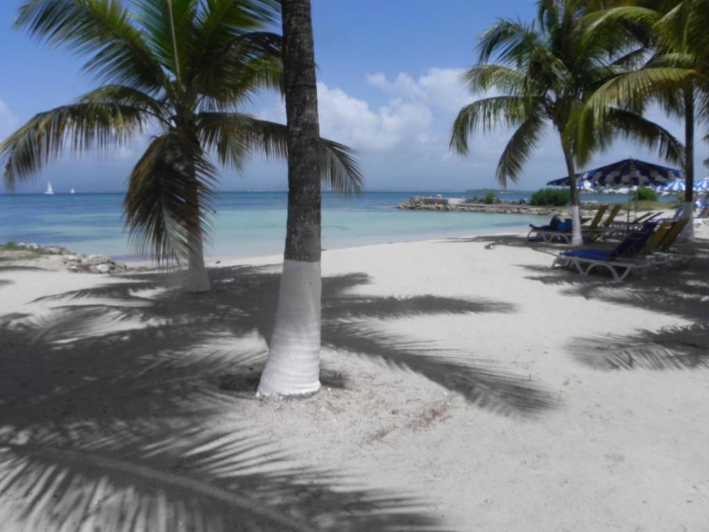 Appartement Bord De Mer Tres Fonctionnel , Sur La Plage & Vue Mer Exceptionnelle Le Gosier  Room photo